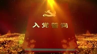 入党宣誓红色党建大气粒子视频的预览图
